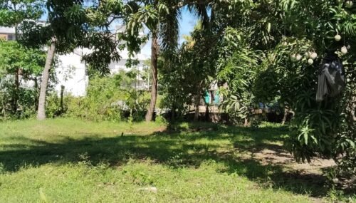 27 பேர்சஸ் காணி விற்பனைக்கு - ஏறாவூர்