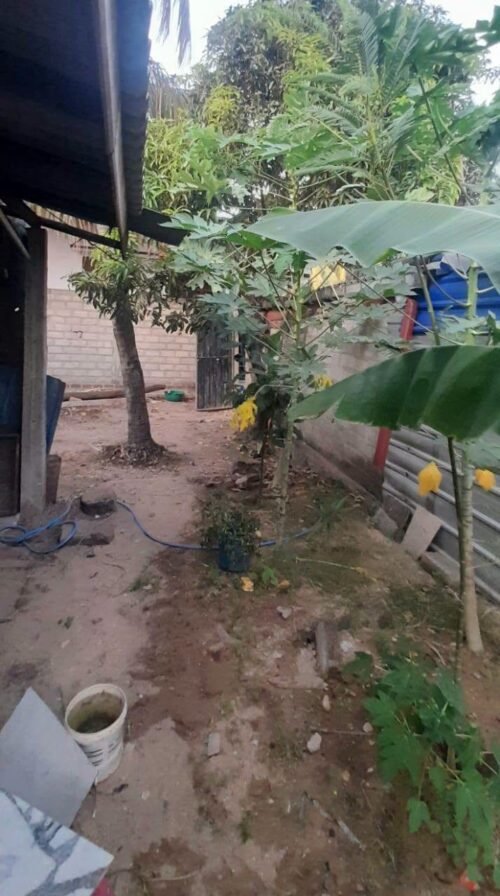 வீடு விற்பனைக்கு - மீன்பிடி இலாக வீதி காத்தான்குடி