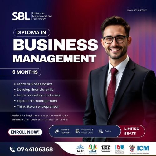 Diploma-in-Business-Management-SBL-Institute.jpg