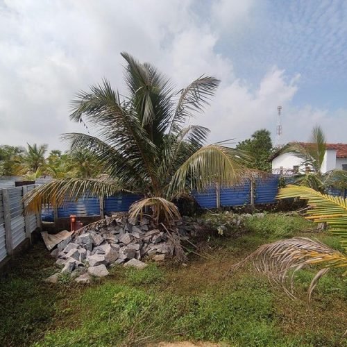 LAND-SALE-ARAYAMPATHY-5572-4