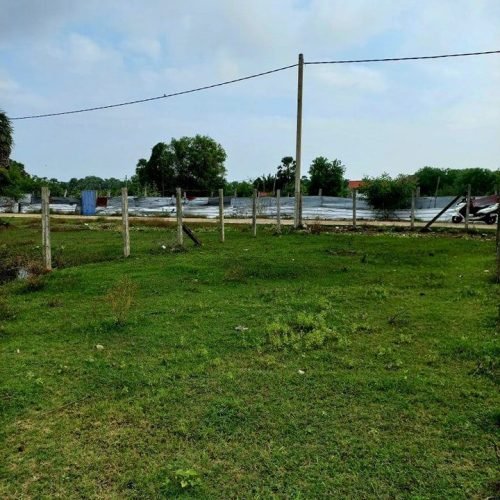 LAND-SALE-KATTANKUDY-5452-1