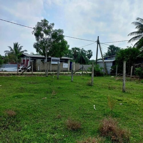 LAND-SALE-KATTANKUDY-5452-4