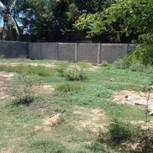 LAND-SALE-KATTANKUDY-5466-4