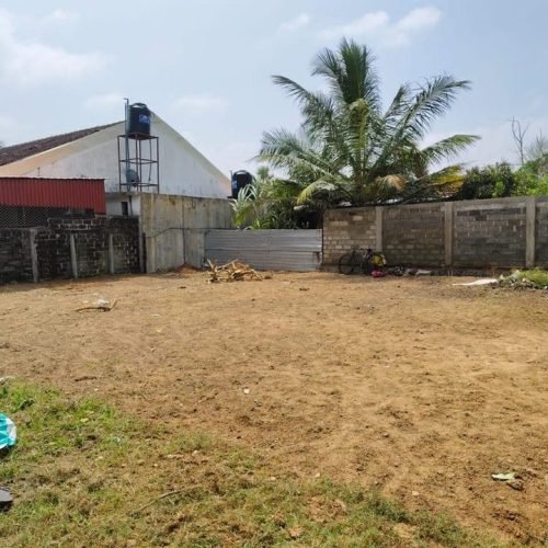 LAND-SALE-KATTANKUDY-5547-3