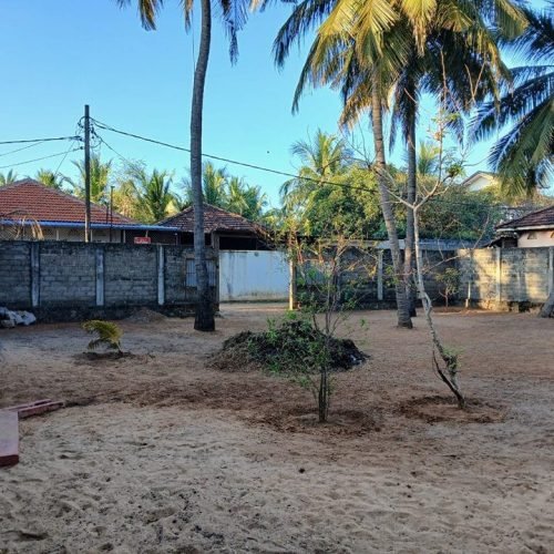 LAND-SALE-KATTANKUDY-5625-1.jpg