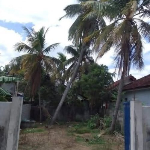 LAND-SALE-KATTANKUDY-5842-1