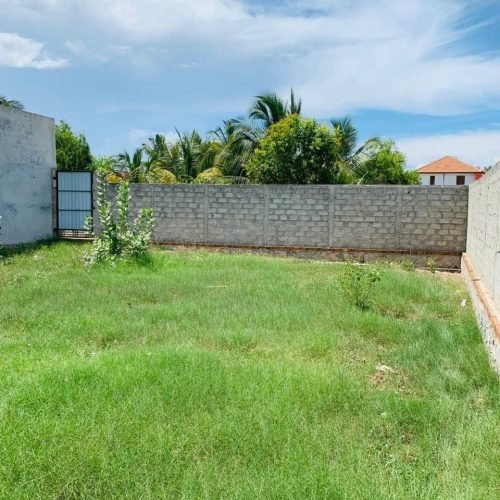 LAND-SALE-KATTANKUDY-6178-1.jpg