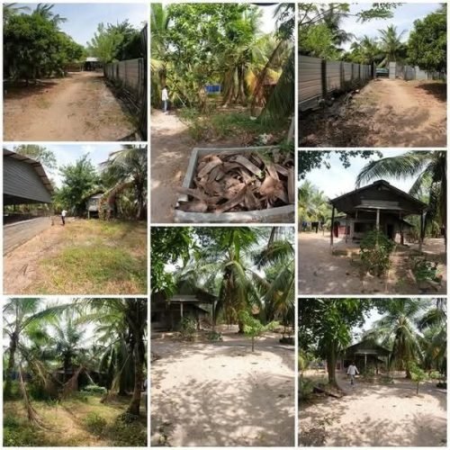 LAND-SALE-OLLIKKULAM-5671-1.jpg