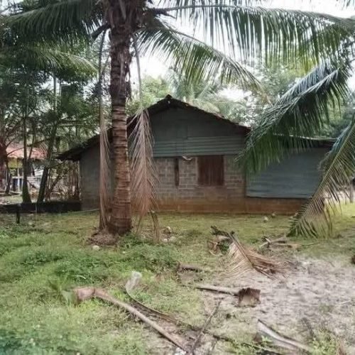 LAND-SALE-OLLIKKULAM-5740-1.jpg