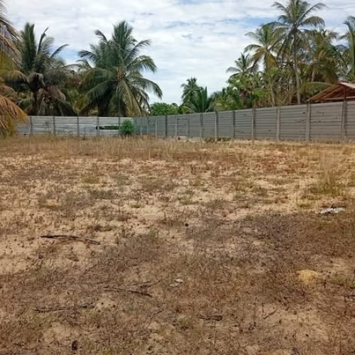 LAND-SALE-PALAMUANAI-5920-1.jpg