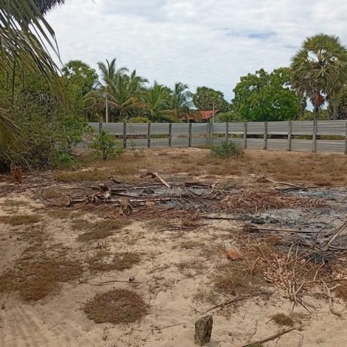 LAND-SALE-PALAMUANAI-5920-3