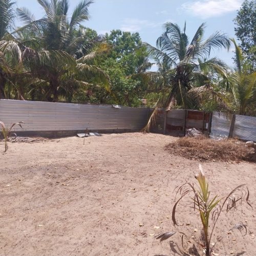 LAND-SALE-PALAMUNAI-5083-3
