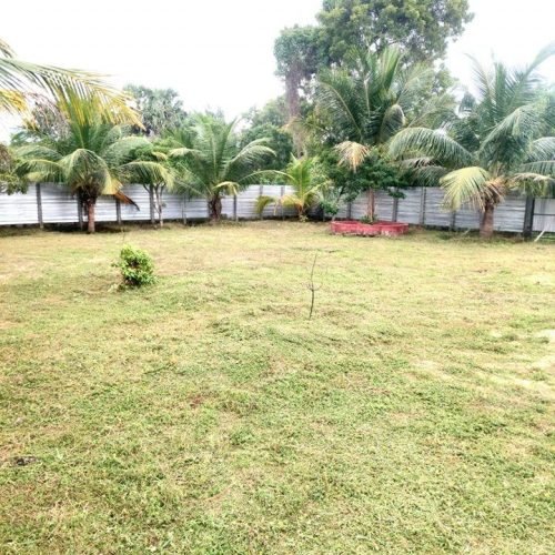 LAND-SALE-PALAMUNAI-5584-1.jpg