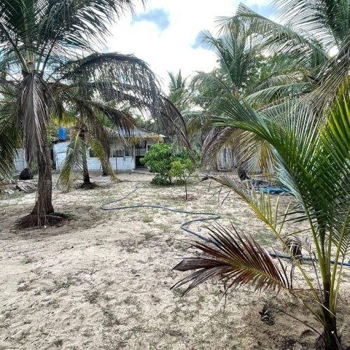 LAND-SALE-PALAMUNAI-5913-1.jpg