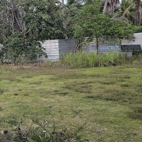 LAND-SALE-PALAMUNAI-5937-1.jpg