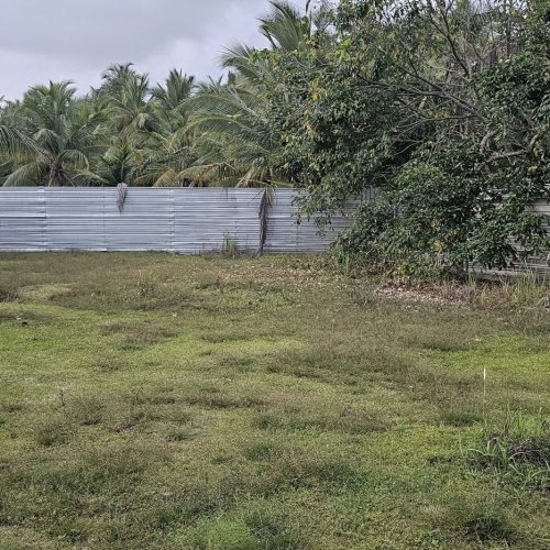 LAND-SALE-PALAMUNAI-5937-2