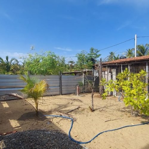 LAND-SALE-PALAMUNAI-6073-1.jpg