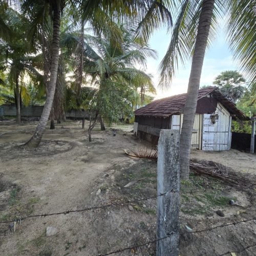 LAND-SALE-PALAMUNAI-7.jpg