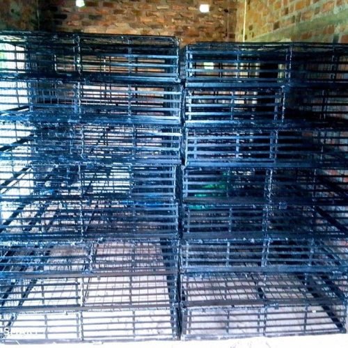 USED-CAGE-5412-3