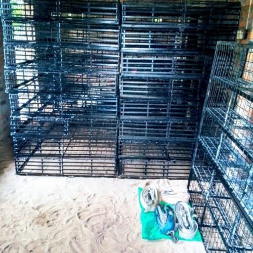 USED-CAGE-5412-4